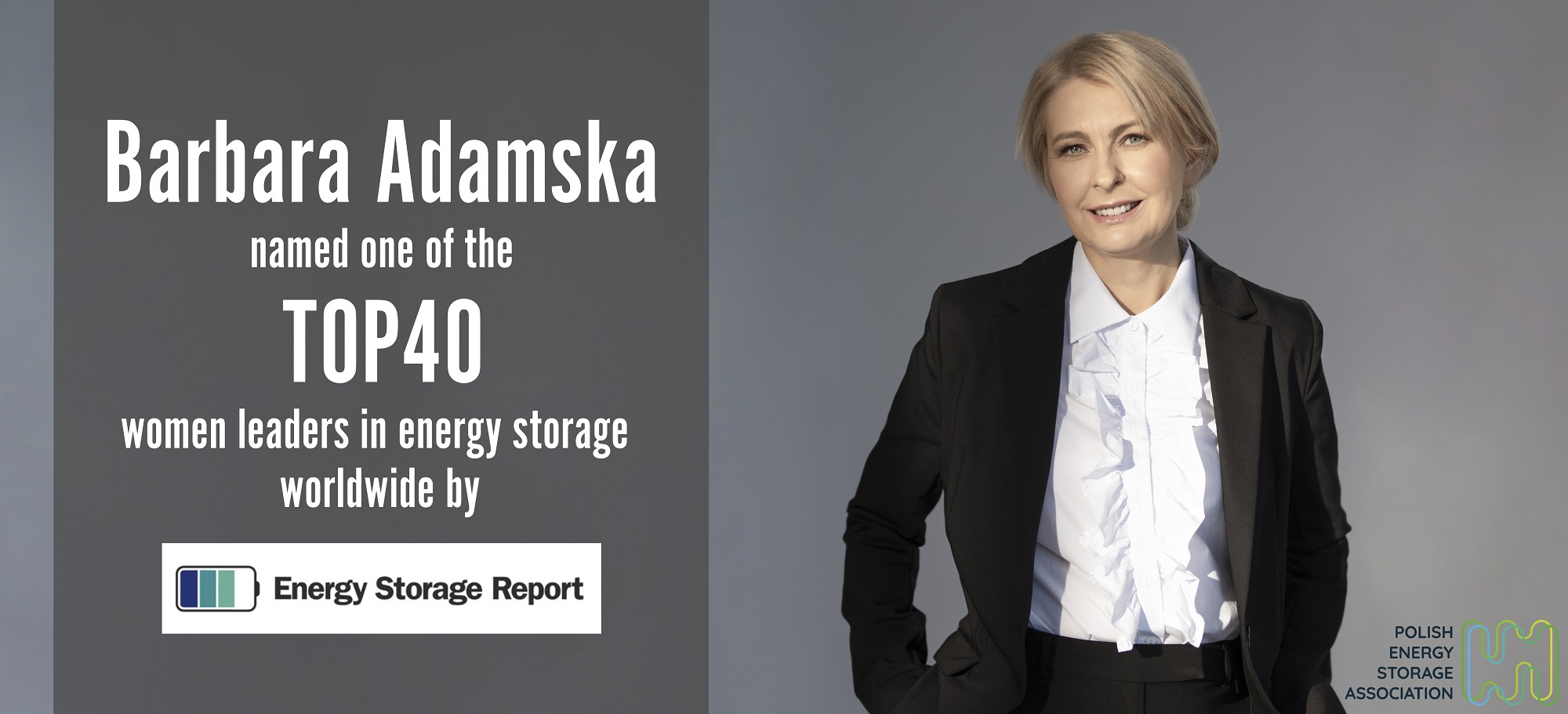 energy storage report